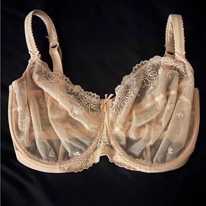 36L Panache Ariza Superbra